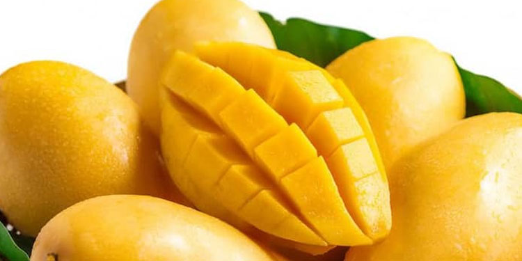 വണ്ണമുള്ളവര്‍ മാമ്പഴം കഴിക്കുന്നത് ശരീരത്തിന് നല്ലതോ?