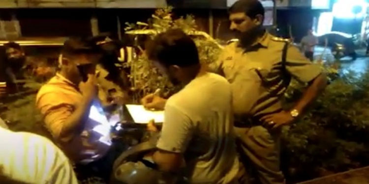കൊച്ചി മെട്രോ പില്ലറുകൾക്കിടയിൽ കഞ്ചാവ് ചെടി ; നട്ടുവളർത്തിയവരെ പിടികൂടാൻ സിസിടിവി പരിശോധിക്കും