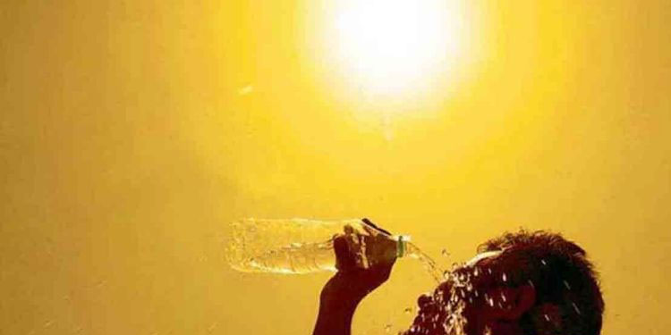 ഡൽഹിയിൽ ഉഷ്ണതരംഗം കടുക്കുമെന്ന് മുന്നറിയിപ്പ്; നഗരത്തിൽ ഓറഞ്ച് അലർട്ട്