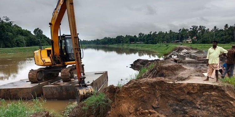 കനത്ത മഴ, മ‌ടവീഴ്ച : വിളവെടുക്കാൻ പാകമായ 30 ഏക്കർ നെൽകൃഷി നശിച്ചു