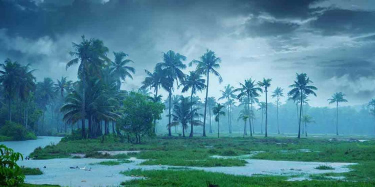 ചക്രവാതച്ചുഴി, ന്യൂനമർദ പാത്തി: കനത്ത മഴ തുടരും; ഉരുൾപൊട്ടൽ മേഖലയിൽ ജാഗ്രത