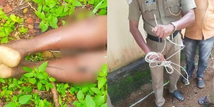 പന്നിക്കെണിയിലെ ദുരൂഹ മരണം: എന്തിന് ശെൽവരാജ് സ്ഥലത്തെത്തി; ദുരൂഹതകളേറെ, പോസ്റ്റ്‍മോർട്ടം ഇന്ന്