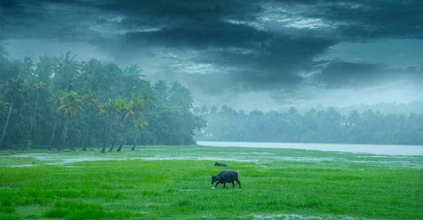 കേരളത്തിൽ ഒറ്റപ്പെട്ട ശക്തമായ മഴയ്ക്കു സാധ്യത ; ഇന്ന് 7 ജില്ലകളിൽ യെലോ അലർട്ട്