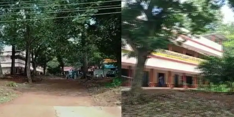 വടക്കാഞ്ചേരിയിൽ സ്കൂൾ വിദ്യാർത്ഥിക്ക് പാമ്പ് കടിയേറ്റു ; കുട്ടി മെഡിക്കൽ കോളേജിൽ