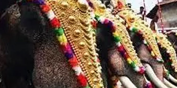 ആന എഴുന്നള്ളിപ്പ് ​: സംസ്ഥാന സർക്കാറിനെ കക്ഷിചേർക്കാൻ നിർദേശം
