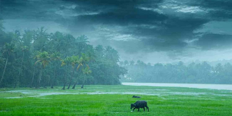 അടുത്ത 5 ദിവസം വിവിധ ജില്ലകളിൽ ഒറ്റപ്പെട്ട ശക്തമായ മഴയ്ക്ക് സാധ്യത