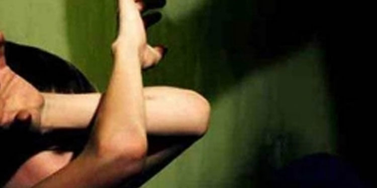 11 വയസ്സുകാരിയെ പീഡിപ്പിച്ച കേസ് : പ്രതിക്ക് ജീവപര്യന്തം കഠിനതടവും 2 ലക്ഷം പിഴയും ശിക്ഷ