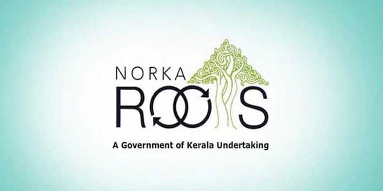 നോര്‍ക്ക റൂട്ട്‌സ് വഴി 23 നഴ്‌സുമാര്‍ സൗദിയിലേക്ക്; പുതിയ നിയമനത്തിന് അപേക്ഷ ക്ഷണിച്ചു