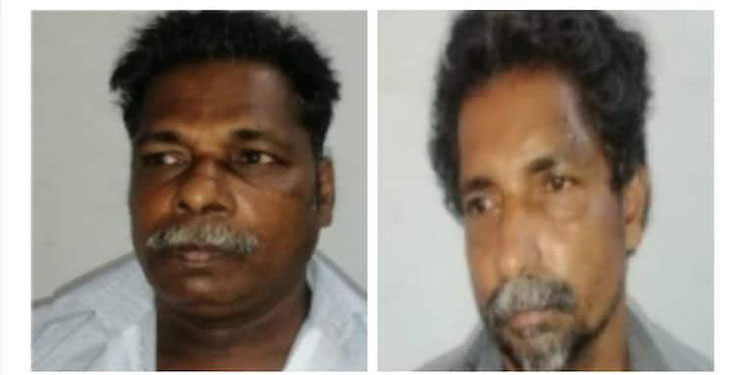 പന്നിഫാമിനെതിരെ പരാതി നൽകിയതിൽ പ്രതികാരം; വൃദ്ധനെ വധിക്കാൻ ശ്രമിച്ച സഹോദരങ്ങൾ പിടിയിൽ