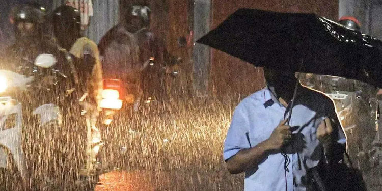 പത്തനംതിട്ട ജില്ലയിൽ ഇക്കുറി 44 ശതമാനം മഴക്കുറവ്