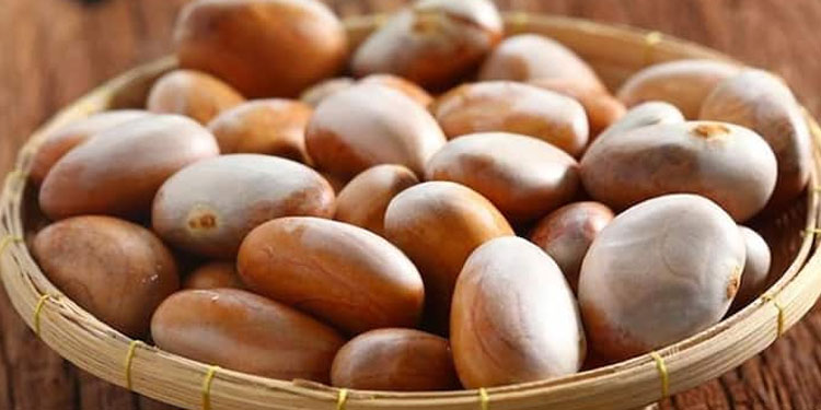 ചക്കക്കുരു വെറുതെ കളയരുതേ !  ​ഗുണങ്ങൾ ചെറുതൊന്നുമല്ല