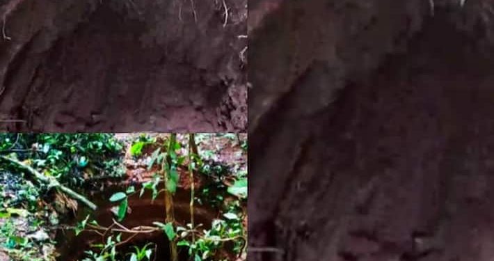 ജാനകി കാട്ടിലെ ക്ഷേത്ര കിണറിൽ മണ്ണ് നീക്കിയത് നിധി തേടി? ദുരൂഹത, അന്വേഷണം ആവശ്യം