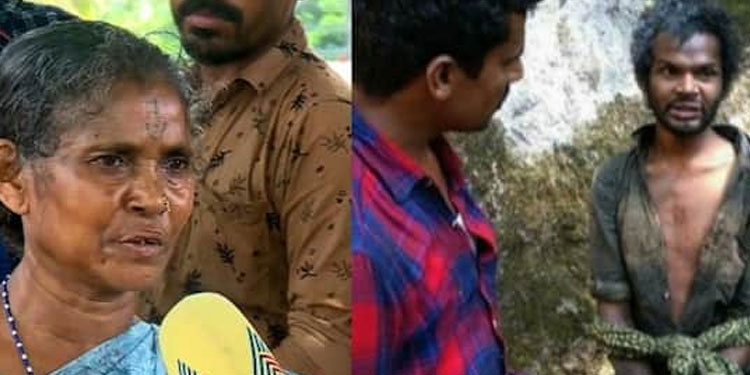 അട്ടപ്പാടി മധു കേസ് : വിചാരണ നിർത്തിവയ്ക്കണമെന്നാവശ്യപ്പെട്ട് കുടുംബം ഹൈക്കോടതിയിലേക്ക്