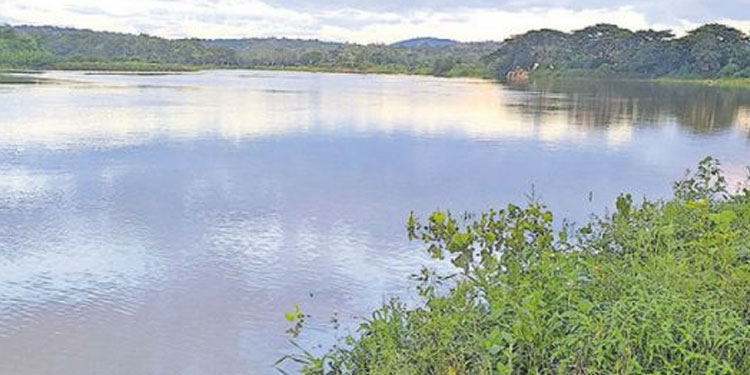 വയനാട്ടിൽ ജലസേചനപദ്ധതി നിര്‍മാണത്തിനിടെ മണ്ണിടിഞ്ഞുവീണു ; തൊഴിലാളി മരിച്ചു