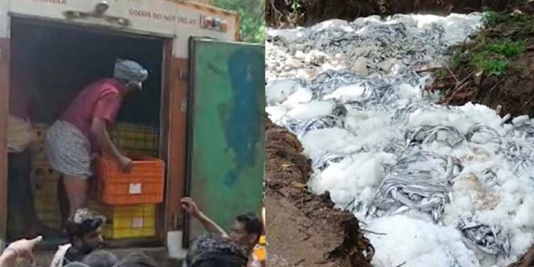 ചൂര, നത്തോലി, ചാള, മത്തി ; തിരുവനന്തപുരത്ത് 7,500 കിലോ പഴകിയ മല്‍സ്യം പിടിച്ചു