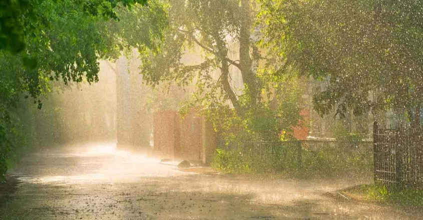 ന്യൂനമർദം : കേരളത്തിൽ മഴ ശക്തിയോടെ തുടരും; നാല് ജില്ലകളിൽ ഇന്ന് ഓറഞ്ച് അലർട്ട്