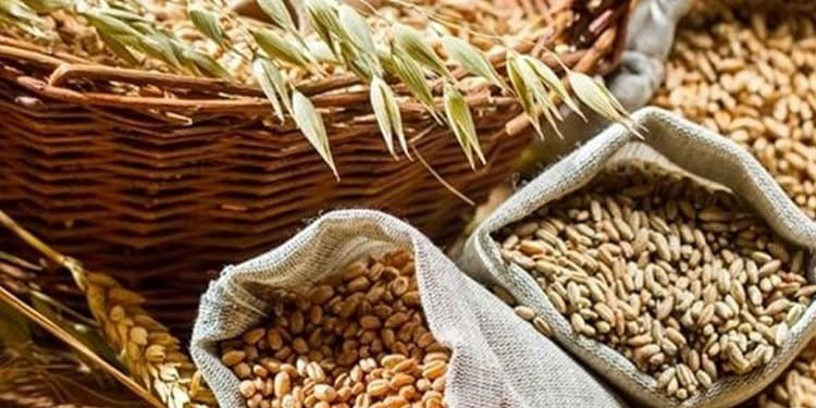 കൂടുതൽ ഗോതമ്പ് നൽകണം ; കേന്ദ്രത്തോട് ആവശ്യപ്പെട്ട് ഉത്തർപ്രദേശും ഗുജറാത്തും