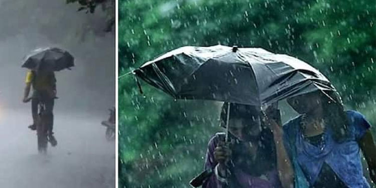 സംസ്ഥാനത്ത് മഴ തുടരും ; നാളെ 12 ജില്ലകളില്‍ യെല്ലോ അലേര്‍ട്ട് , കടലാക്രമണ മുന്നറിയിപ്പ്