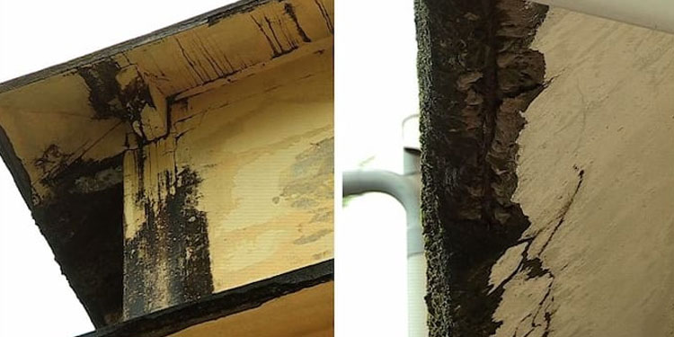 ആലപ്പുഴ വലിയഴീക്കല്‍ സ്കൂള്‍ അപകടാവസ്ഥയില്‍; കോണ്‍ക്രീറ്റ് കഷ്ണങ്ങള്‍ അടര്‍ന്ന് വീഴുന്നു