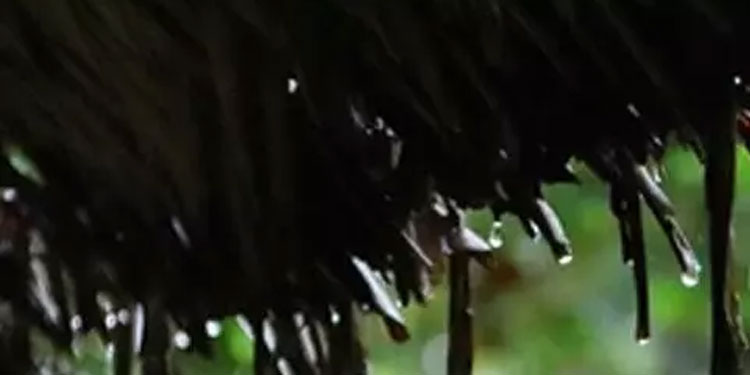 അയൽവാസിയുടെ മതിൽ വീടിന് അപകടഭീഷണി ; പൊളിച്ചു മാറ്റാൻ കലക്ടറുടെ ഉത്തരവ്