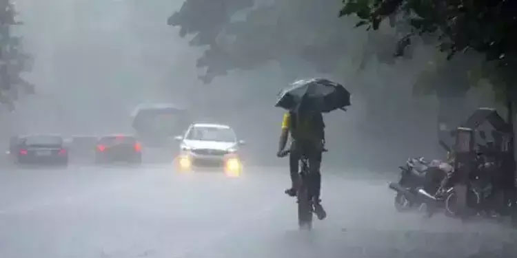 വയനാട്ടിൽ നാളെ വിദ്യാഭ്യാസ സ്ഥാപനങ്ങൾക്ക് അവധി