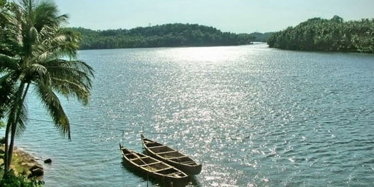 ചന്ദ്രഗിരി പുഴയിലേക്ക് ചാടിയ യുവാവിനായി തെരച്ചിൽ തുടരുന്നു