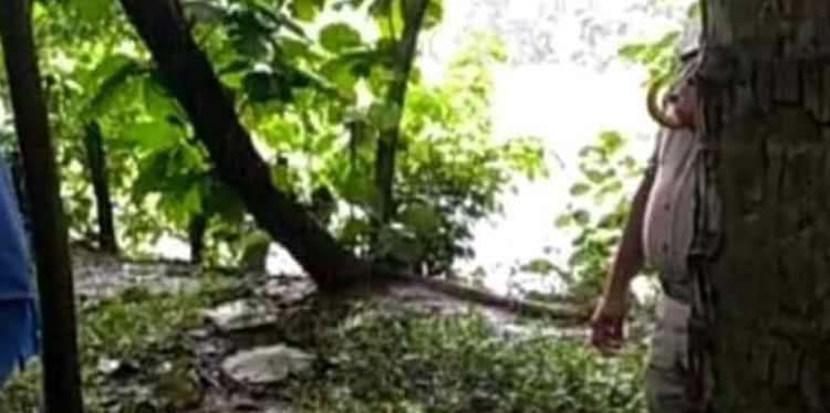 നിലമ്പൂരിൽ മൂന്ന് ദിവസം മുമ്പ് കാണാതായ യുവാവ് ;  ബന്ധുവായ യുവതിക്കൊപ്പം മരത്തിൽ തൂങ്ങി മരിച്ച നിലയിൽ