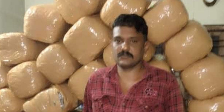 തിരുവനന്തപുരത്ത് വാടകവീട്ടിൽ സൂക്ഷിച്ചത് 200 കിലോ കഞ്ചാവ്; യുവാവ് പൊലീസ് വലയിൽ