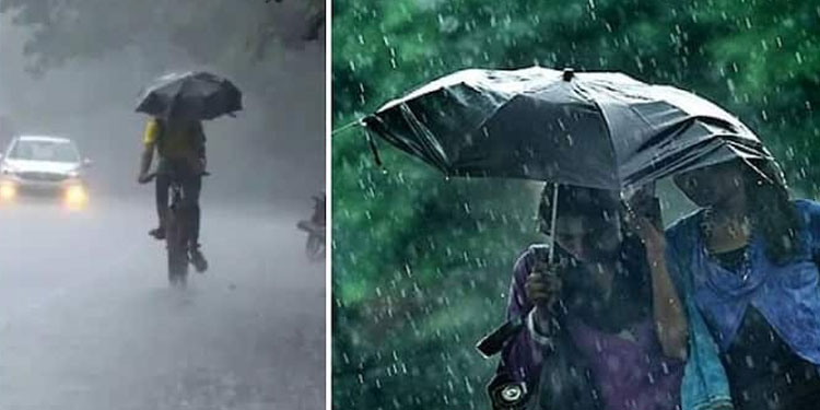കേരളത്തില്‍ വീണ്ടും മഴ; ആറ് ജില്ലകളില്‍ യെല്ലോ അലേര്‍ട്ട്, ഇടിമിന്നല്‍ മുന്നറിയിപ്പ്