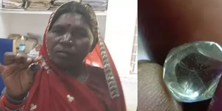 കാട്ടിൽ വിറക് ശേഖരിക്കവെ ലഭിച്ചത് വജ്രക്കല്ല്; വില കേട്ട് ഞെട്ടി സ്ത്രീ