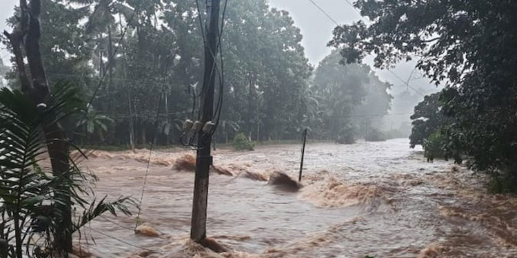 തെക്കൻ ജില്ലകളിലെ മലയോര മേഖലയിൽ കനത്ത മഴ, മലവെള്ളപ്പാച്ചിലിൽ ഒരു മരണം, നാളെയും തീവ്രമഴയ്ക്ക് സാധ്യത