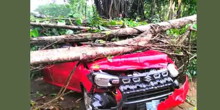 ഓടിക്കൊണ്ടിരുന്ന കാറിന് മുകളിൽ മരം പൊട്ടിവീണു : യാത്രക്കാർ അത്ഭുതകരമായി രക്ഷപ്പെട്ടു