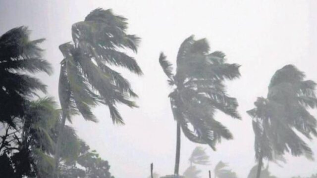 കോഴിക്കോട് ജില്ലയിൽ കനത്ത മഴയിലും കാറ്റിലും ഇരുപത് വീടുകൾ ഭാഗീകമായി തക‍ര്‍ന്നു