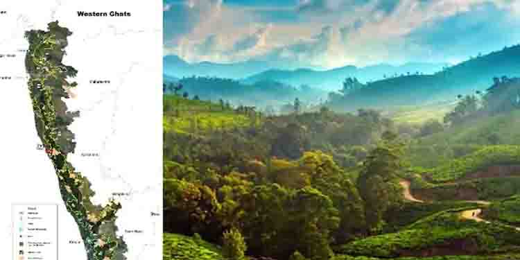 കസ്തൂരിരംഗൻ കരട് വിജ്ഞാപന കാലാവധി നീട്ടി