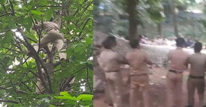 പൂജപ്പരയിൽ ജയിൽ ചാടി മരത്തിൽ കയറിയ പ്രതിയെ ‘ വീഴ്ത്തി ’ ; വലയിൽ കുരുങ്ങി
