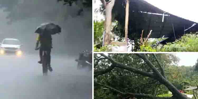 മഴയും കാറ്റും ശക്തം : തൃശൂരിൽ വീടിന്റെ മേൽക്കൂര പറന്നു പോയി, വയനാട്ടിൽ മരം വീണ് പൊലീസ് കോട്ടേഴ്സ് തകര്‍ന്നു