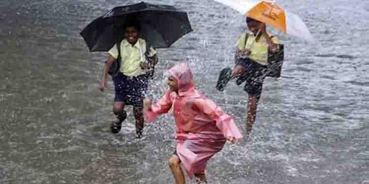 മഴ ശക്തം ; വയനാട്ടിൽ വിദ്യാഭ്യാസ സ്ഥാപനങ്ങൾക്ക് അവധി