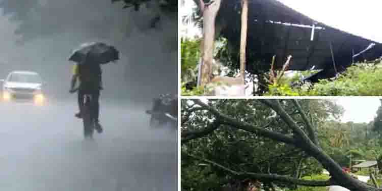കോഴിക്കോട് ഒറ്റപ്പെട്ട ശക്തമായ മഴ ; മരം വീണു, വീടുകളിൽ വെള്ളം കയറി, തീരദേശവാസികൾക്ക് ജാഗ്രതാ നിർദേശം
