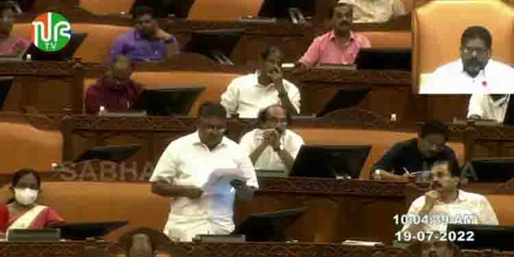 മല്ലപ്പളളി പ്രസംഗത്തിൽ അതീവദു:ഖം, ഭരണഘടനയെ അപമാനിച്ചില്ല, രാജി ധാർമികത ഉയർത്തി ; സഭയിൽ സജിചെറിയാന്‍റെ വിശദീകരണം