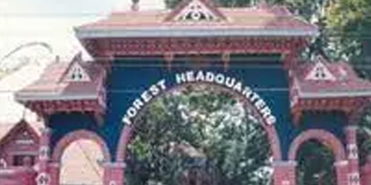 വനം വകുപ്പിന്റെ ഫയല്‍ തീര്‍പ്പാക്കല്‍ അദാലത്ത് 11-ന് കോഴിക്കോട്