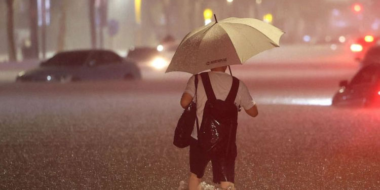 ദുരിതാശ്വാസ പ്രവർത്തനം തുടരുന്നു; വിദ്യാഭ്യാസ സ്ഥാപനങ്ങള്‍ക്ക് നാളെയും അവധി പ്രഖ്യാപിച്ച് ജില്ലാ കളക്ടർ