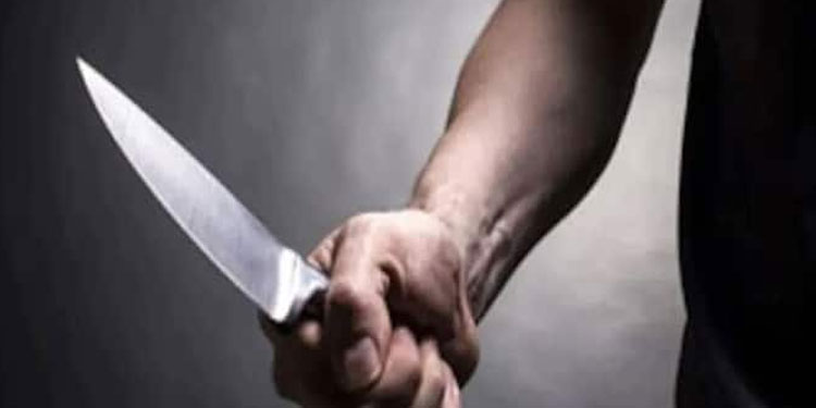 ‘പുരയിടത്തിലെ മണ്ണെടുക്കരുത്’, ദാസനും വിജയനും തമ്മില്‍ തര്‍ക്കം; ഇടപെട്ട യുവാക്കള്‍ക്ക് കുത്തേറ്റു