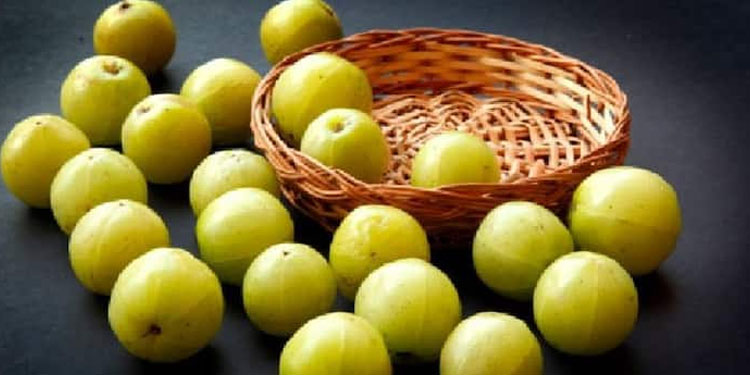 താരൻ അകറ്റാൻ നെല്ലിക്ക ഇങ്ങനെ ഉപയോ​ഗിക്കൂ