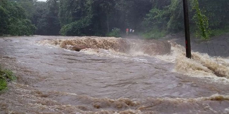 മഴ ശക്തം, കണ്ണൂരിലും കോഴിക്കോടും മലവെള്ളപ്പാച്ചിൽ; വനത്തിൽ ഉരുൾപ്പൊട്ടലെന്ന് സംശയം