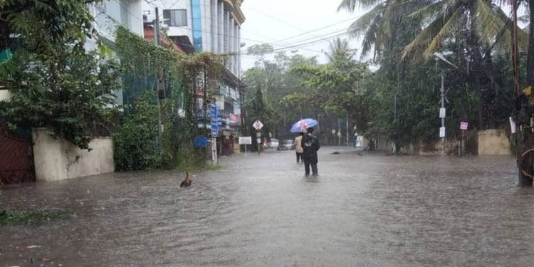 കൊച്ചിയിൽ കനത്ത മഴ; എം.ജി റോഡിൽ വെള്ളക്കെട്ട്, കത്രിക്കടവിൽ മരം കടപുഴകി ഗതാഗത തടസ്സം