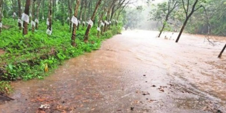 സംസ്ഥാനത്ത് ഇന്നും അതിശക്തമായ മഴ തുടരും; മലയോര മേഖലയില്‍ ജാഗ്രത , ഉരുള്‍പൊട്ടല്‍ സാധ്യത