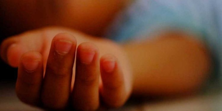 വിളർച്ച, പനി, ഹീമോഗ്ലോബിന്റെ അളവ് 2.8 മാത്രം: അട്ടപ്പാടിയിൽ ഒരു വയസ്സുകാരൻ മരിച്ചു