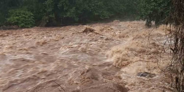 വടക്കൻ ജില്ലകളിലെ മലയോര മേഖലയിൽ കനത്ത മഴ; പുഴയിൽ കുത്തൊഴുക്ക്