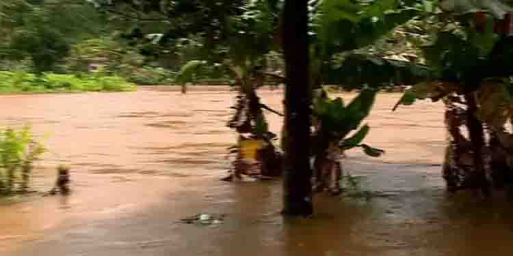 ഇടുക്കി, മുല്ലപ്പെരിയാർ ഡാമുകളിൽ ജലനിരപ്പ് ഉയർന്നു ; മുല്ലപ്പെരിയാരിൽ നിന്ന് കൂടുതൽ വെള്ളമൊഴുക്കും