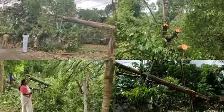 തൃശ്ശൂര്‍ അന്നമനടയിൽ ചുഴലിക്കാറ്റിൽ വ്യാപകനാശം ; ഇരുന്നൂറോളം മരങ്ങൾ നിലംപൊതി ; ആറ് വീടുകൾക്ക് കേടുപാട്